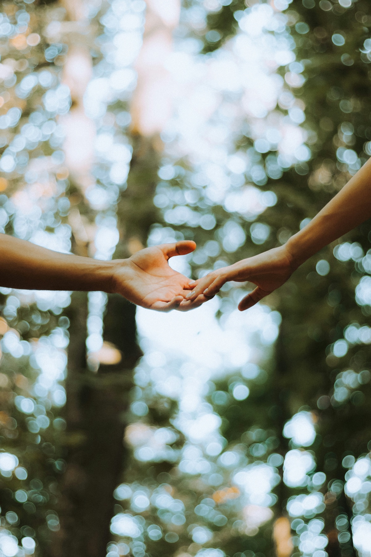 Two hands reaching toward each other in soft, warm light
