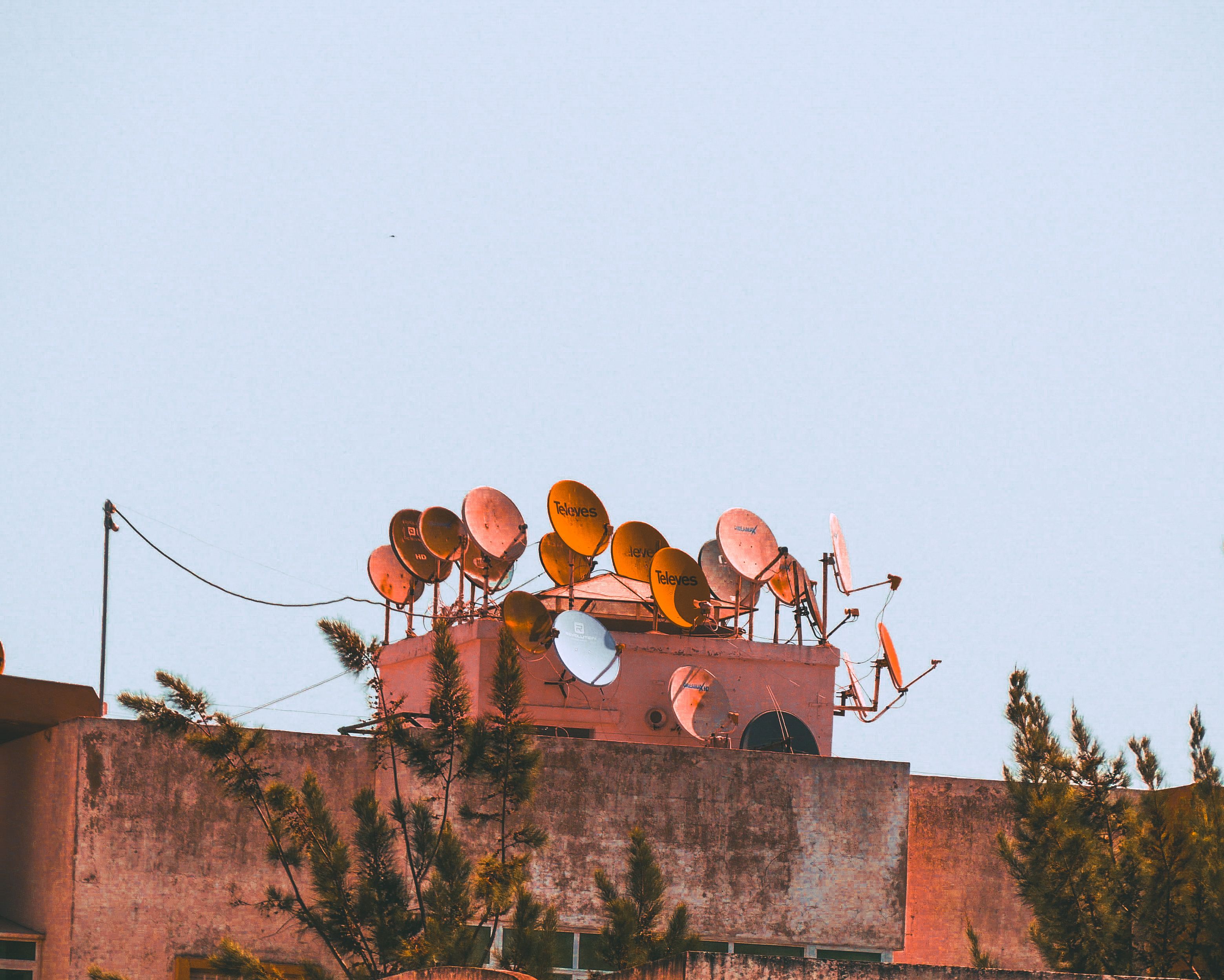A cluster of orange satellite dishes crowded onto a rooftop tower, pine branches in front, pale sky above.